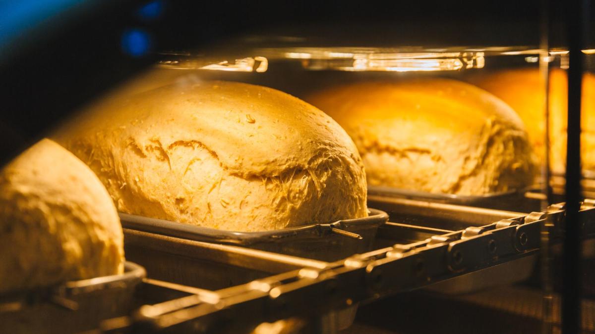 wilkinson-bread-bot-product-photos-9