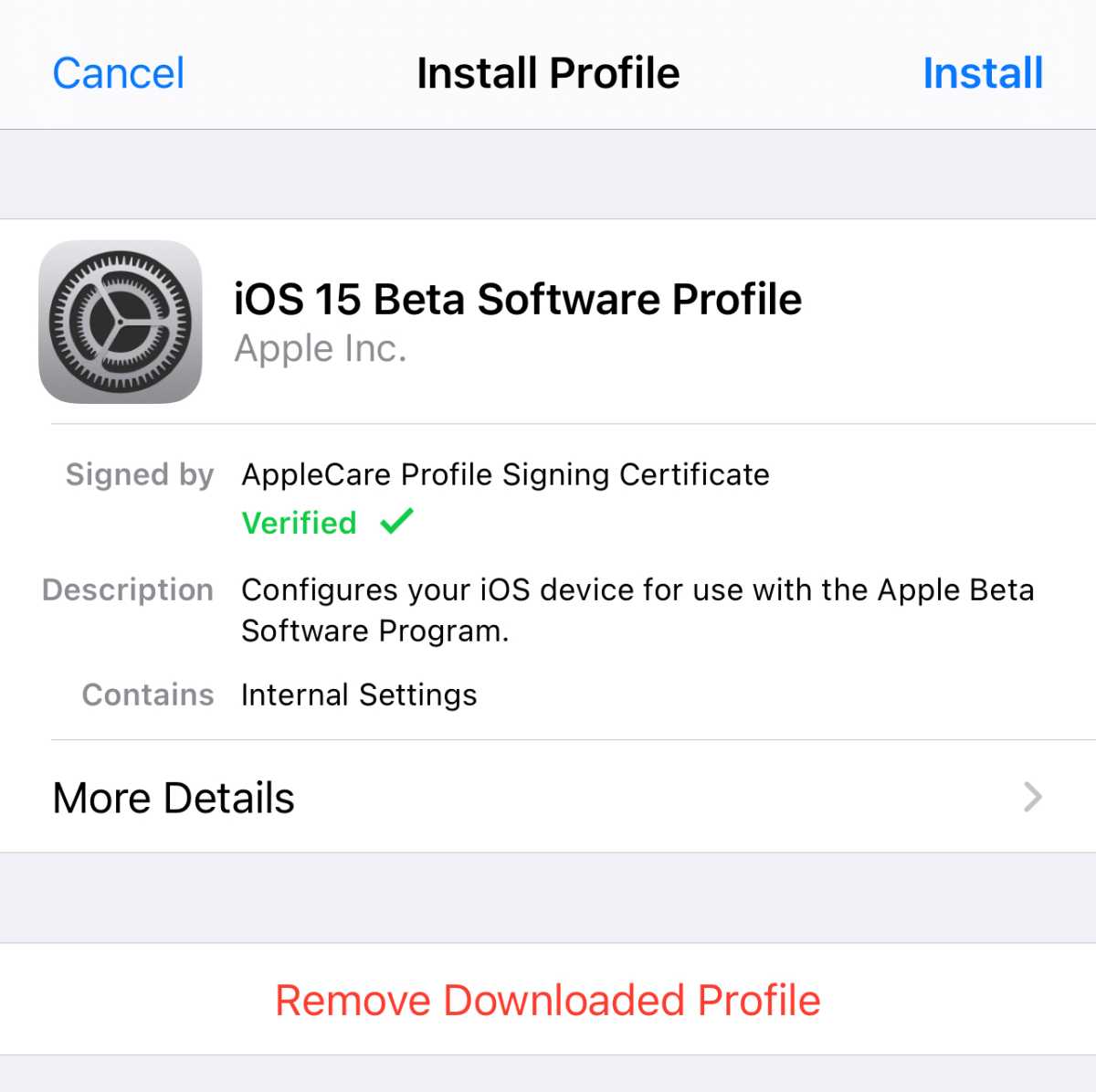 vocket-update-iOS15-developer-beta-2