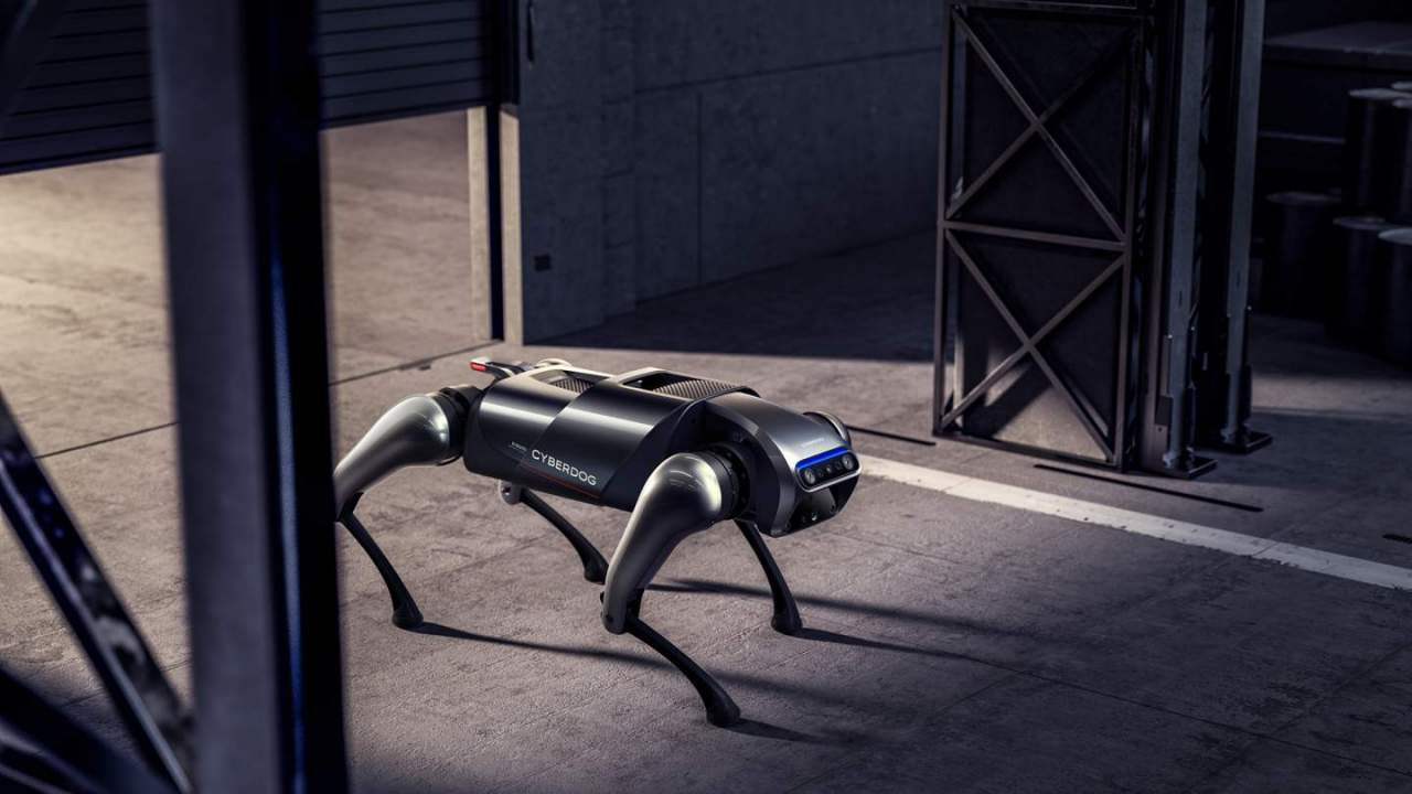 vocket-tech-news-dog-1